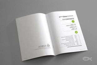 藍瑪設計 專業品牌設計服務，助力廈門企業騰飛